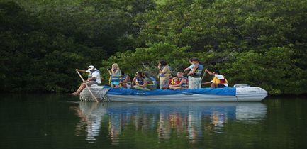 day-eight-itinerary-b-endemic-panga-ride-mangrove-black-turtle-cove
